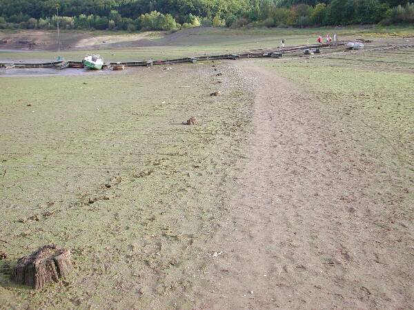 Weg bei Alt-Bringhausen